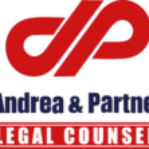 Юридическая фирма D’Andrea & Partners, Компания