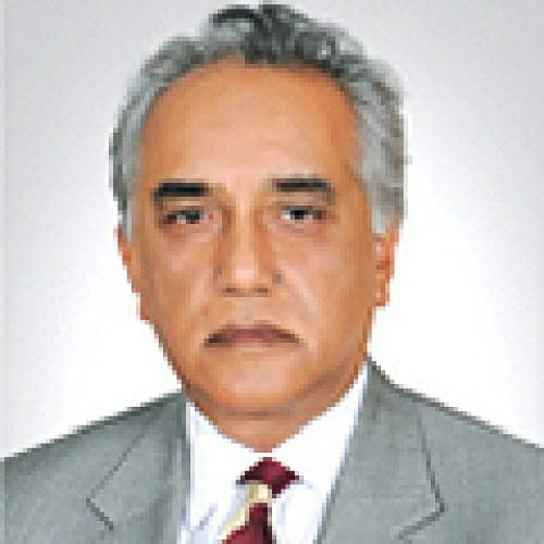 Mansoor Malik , Адвокат