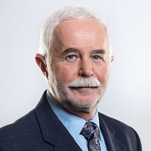 Vladimír Bulinský, Адвокат